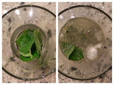 Assembling the Mojito