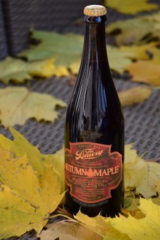 Autumn Maple from California