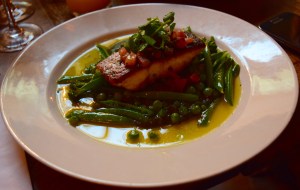 Stone Bass with New Season Veg & Sauce Vierge