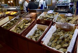 Oysters - typical Lyonnaise lunch with a glass of wine