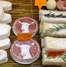 I wonder what's this made of?