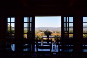 Stunning Staglin - view from the tasting room