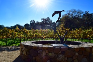  Vineyard & fountain - Duckhorn Vineyards