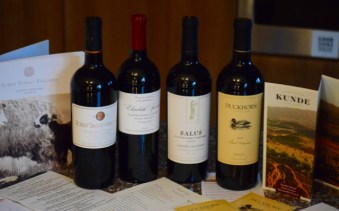 Wine safely back home - which to drink?