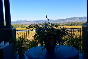 Spectacular View from Tasting Room Staglin Family Vineyard