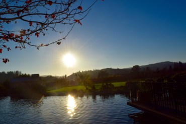 Sun Setting over Kunde Family Vinery, Sonoma
