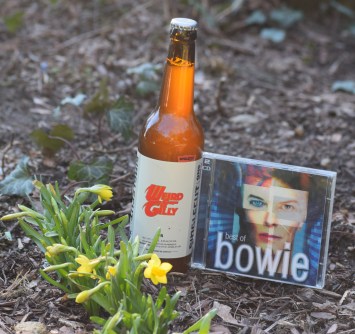 Singlecut - Weird &amp; Gilly (&amp; Bowie)