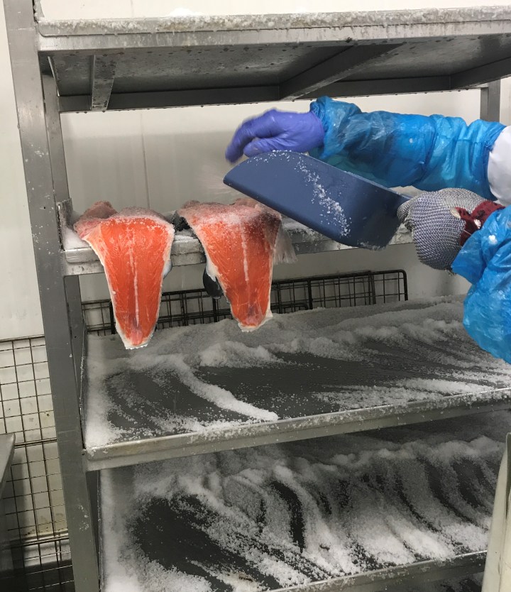 5. Salting the salmon